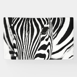 Zebra-Portrait schwarz-weiß Banner