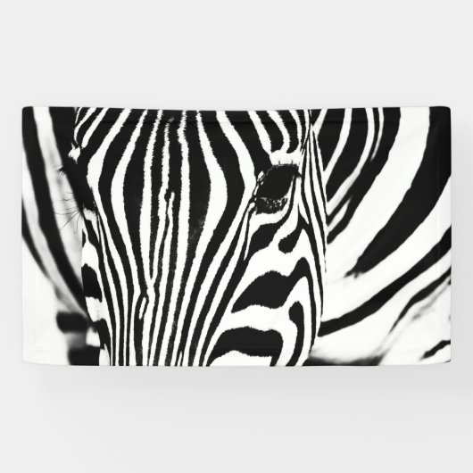 Zebra-Portrait schwarz-weiß Banner (Horizontal)