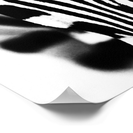 Zebra-Portrait schwarz-weiß Poster (Ecke)