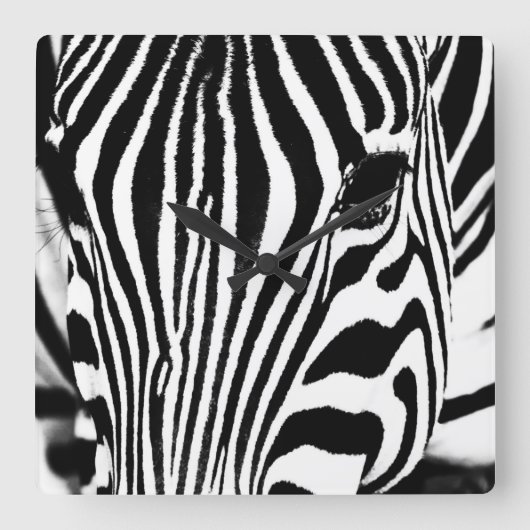 Zebra-Portrait schwarz-weiß Quadratische Wanduhr (Vorderseite)