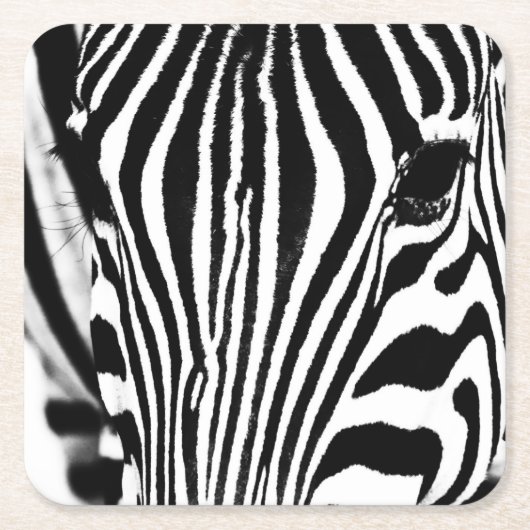 Zebra-Portrait schwarz-weiß Rechteckiger Pappuntersetzer (Vorderseite)