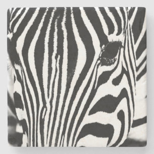 Zebra-Portrait schwarz-weiß Steinuntersetzer