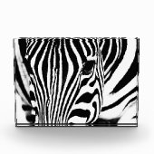 Zebra portrait Schwarzweiß-Foto Fotoblock (Vorderseite)
