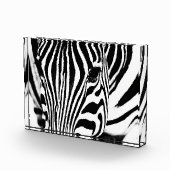 Zebra portrait Schwarzweiß-Foto Fotoblock (Rechts)