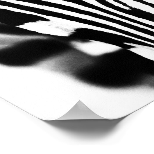 Zebra portrait Schwarzweiß-Foto Poster (Ecke)
