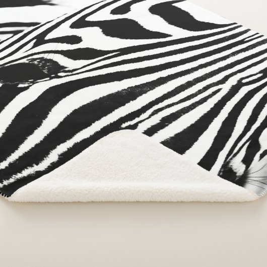 Zebra portrait Schwarzweiß-Foto Sherpadecke (3/4)