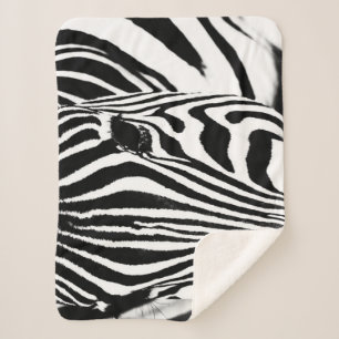 Zebra portrait Schwarzweiß-Foto Sherpadecke