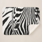 Zebra portrait Schwarzweiß-Foto Sherpadecke (Vorderseite (Horizontal))