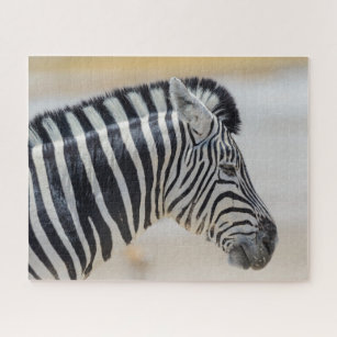 Zebra Portrait Wild Animal Nature African Puzzle