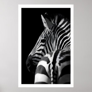 Zebra-Porträt-Druck Moderne Schwarz-Weiß-Wand Poster