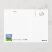 Zebra Postcard Postkarte (Rückseite)