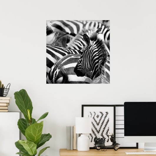 Zebra Poster (Heimbüro)
