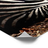 Zebra Poster (Ecke)
