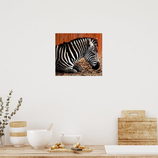 Zebra Poster (Küche)
