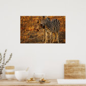 Zebra Poster (Küche)