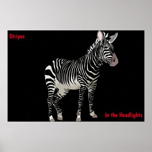 Zebra Poster (Vorne)