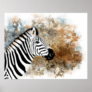 Zebra Poster