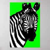 Zebra. Poster (Vorne)