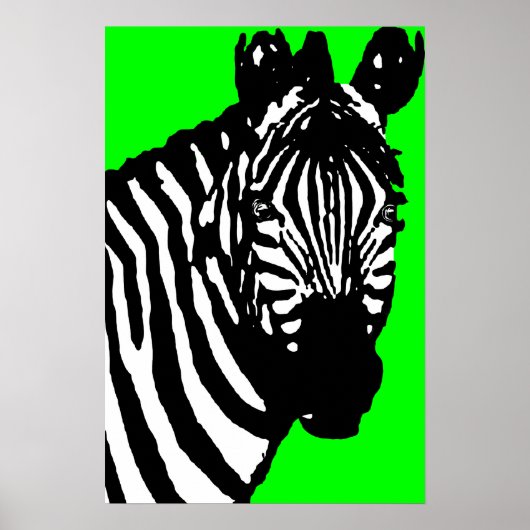 Zebra. Poster (Vorne)
