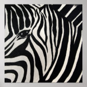 Zebra Poster (Vorne)