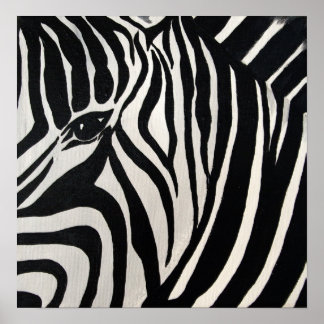 Zebra Poster
