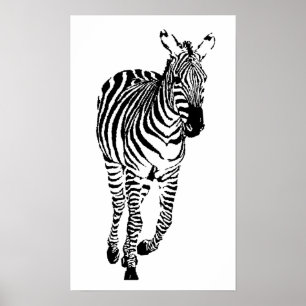 Zebra Poster