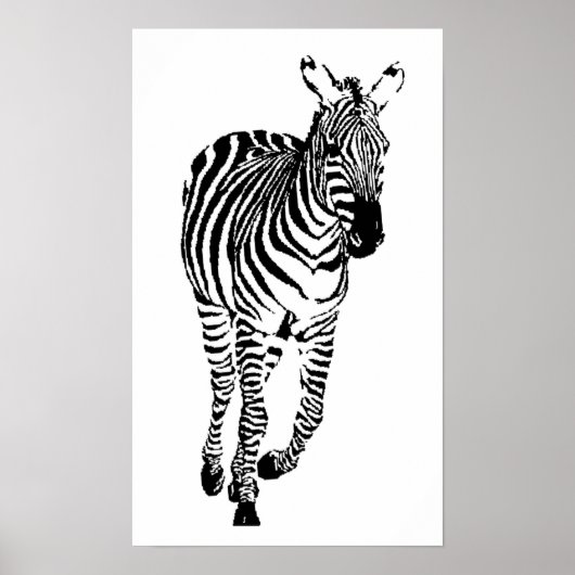 Zebra Poster (Vorne)
