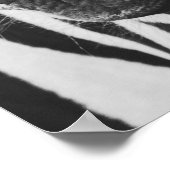 Zebra Poster (Ecke)