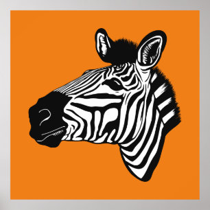 Zebra Poster