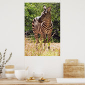Zebra Poster (Küche)