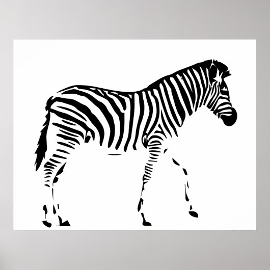 Zebra Poster (Vorne)
