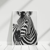 Zebra Poster
