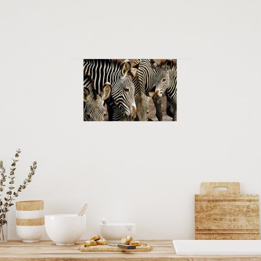 Zebra Poster (Küche)