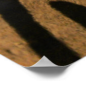 Zebra Poster (Ecke)
