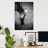 Zebra Poster (Heimbüro)