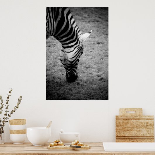 Zebra Poster (Küche)