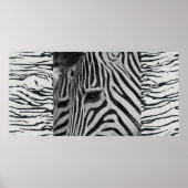 Zebra Poster Artwork Wand Mural (Vorne)