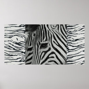 Zebra Poster Artwork Wand Mural