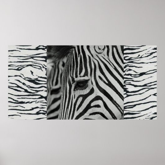 Zebra Poster Artwork Wand Mural (Vorne)