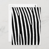 Zebra Postkarte (Vorne/Hinten)
