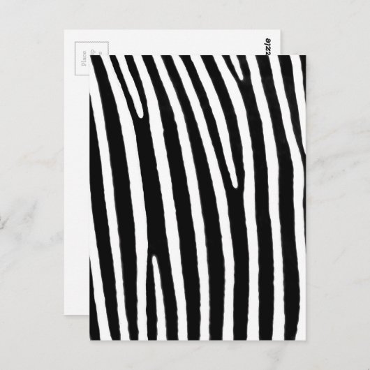 Zebra Postkarte (Vorne/Hinten)