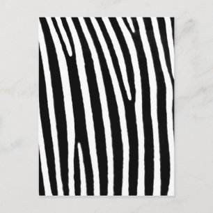 Zebra Postkarte