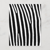 Zebra Postkarte (Vorderseite)