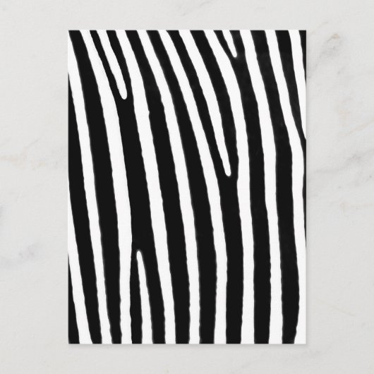 Zebra Postkarte (Vorderseite)