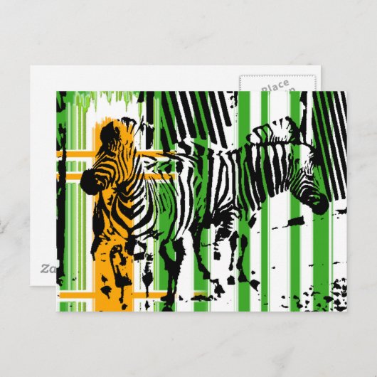 Zebra Postkarte (Vorne/Hinten)