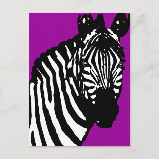 Zebra. Postkarte (Vorderseite)