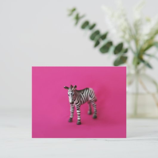 ZEBRA Postkarte (Stehend Vorderseite)