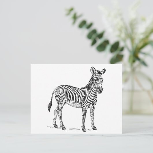 Zebra Postkarte (Stehend Vorderseite)