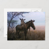 Zebra Postkarte (Vorne/Hinten)