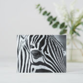Zebra Postkarte (Stehend Vorderseite)